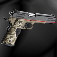 Custom Covert L.jpg